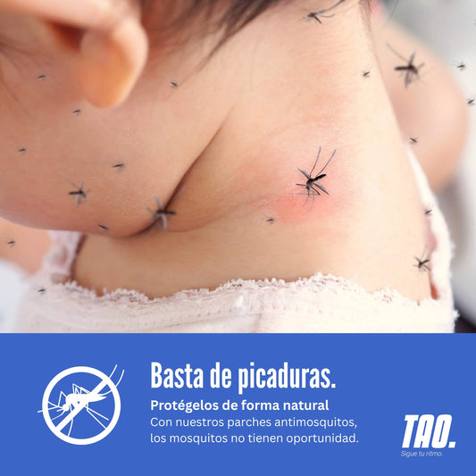 Parches antimosquitos.